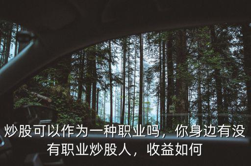 炒股可以作為一種職業(yè)嗎，你身邊有沒有職業(yè)炒股人，收益如何