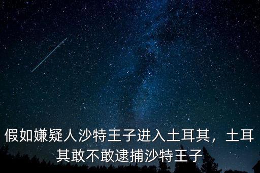 假如嫌疑人沙特王子進(jìn)入土耳其，土耳其敢不敢逮捕沙特王子