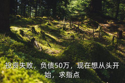 投資失敗，負(fù)債50萬，現(xiàn)在想從頭開始，求指點