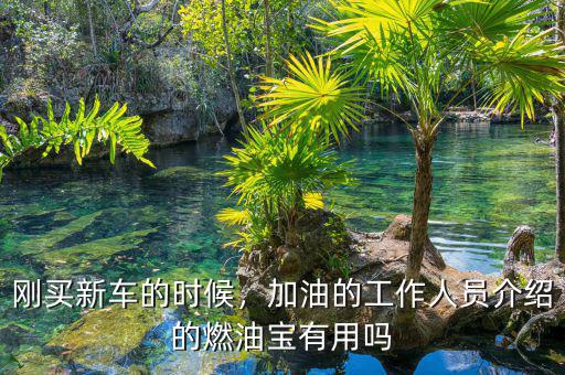 剛買新車的時候，加油的工作人員介紹的燃油寶有用嗎