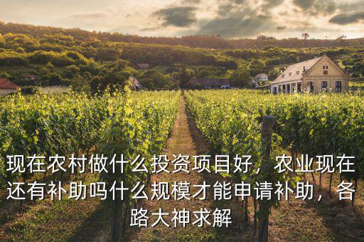 現(xiàn)在農(nóng)村做什么投資項(xiàng)目好，農(nóng)業(yè)現(xiàn)在還有補(bǔ)助嗎什么規(guī)模才能申請(qǐng)補(bǔ)助，各路大神求解