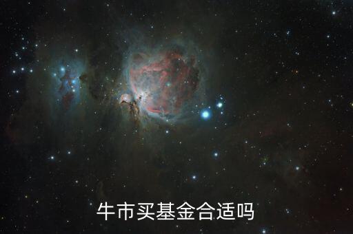 牛市買(mǎi)什么基金,牛市買(mǎi)什么基金