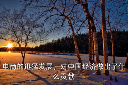 電商的迅猛發(fā)展，對中國經(jīng)濟(jì)做出了什么貢獻(xiàn)