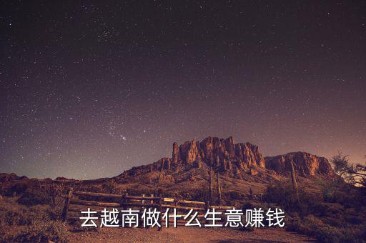 越南有什么市場(chǎng)可以賺錢,去越南做什么生意賺錢