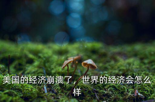 美國的經(jīng)濟崩潰了，世界的經(jīng)濟會怎么樣