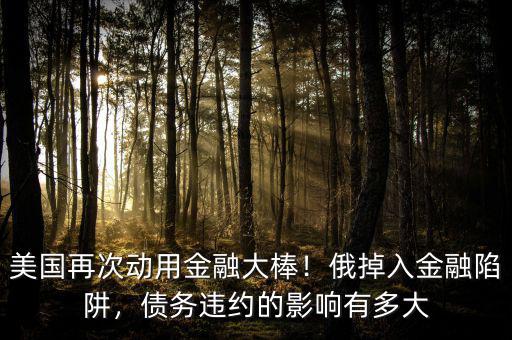 美國再次動用金融大棒！俄掉入金融陷阱，債務(wù)違約的影響有多大
