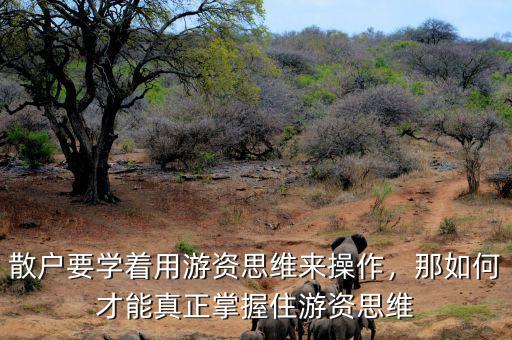 散戶要學(xué)著用游資思維來操作，那如何才能真正掌握住游資思維