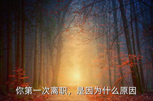 你第一次離職，是因?yàn)槭裁丛? class=