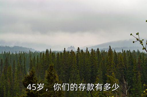 45歲，你們的存款有多少