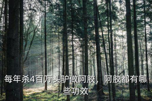 每年殺4百萬頭驢做阿膠，阿膠都有哪些功效