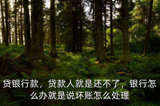貸銀行款，貸款人就是還不了，銀行怎么辦就是說壞賬怎么處理