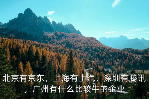 北京有京東，上海有上汽，深圳有騰訊，廣州有什么比較牛的企業(yè)