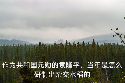 作為共和國(guó)元?jiǎng)椎脑∑?，?dāng)年是怎么研制出雜交水稻的