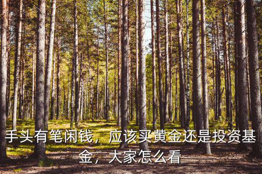 手頭有筆閑錢，應(yīng)該買黃金還是投資基金，大家怎么看