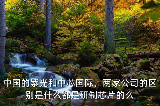 中國的紫光和中芯國際，兩家公司的區(qū)別是什么都是研制芯片的么