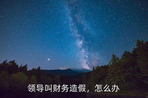 領(lǐng)導(dǎo)叫財(cái)務(wù)造假，怎么辦