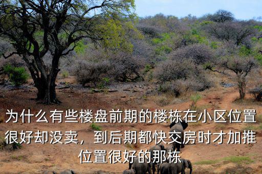 為什么有些樓盤前期的樓棟在小區(qū)位置很好卻沒賣，到后期都快交房時才加推位置很好的那棟