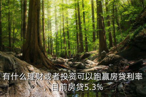 有什么理財或者投資可以跑贏房貸利率，目前房貸5.3%