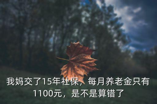 我媽交了15年社保，每月養(yǎng)老金只有1100元，是不是算錯(cuò)了
