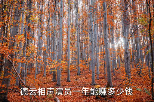 演員賺多少錢(qián),德云相聲演員一年能賺多少錢(qián)