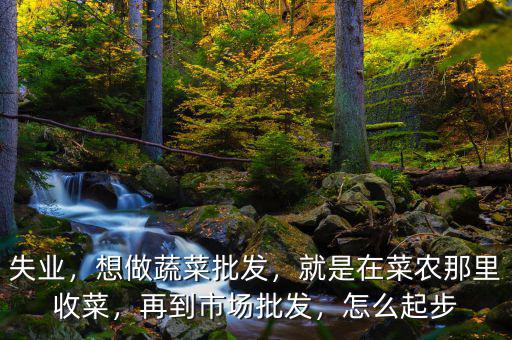 失業(yè)，想做蔬菜批發(fā)，就是在菜農(nóng)那里收菜，再到市場(chǎng)批發(fā)，怎么起步