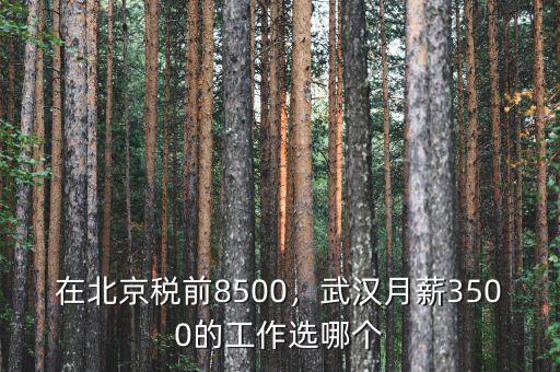 在北京稅前8500，武漢月薪3500的工作選哪個
