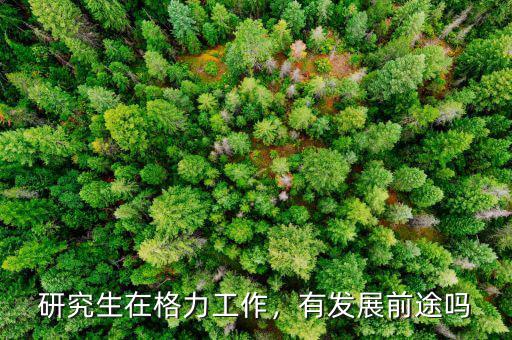 研究生在格力工作，有發(fā)展前途嗎