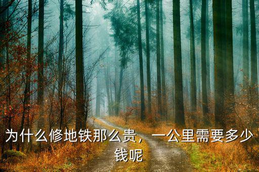 為什么修地鐵那么貴，一公里需要多少錢呢