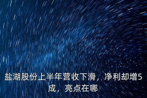 鹽湖股份上半年營收下滑，凈利卻增5成，亮點在哪