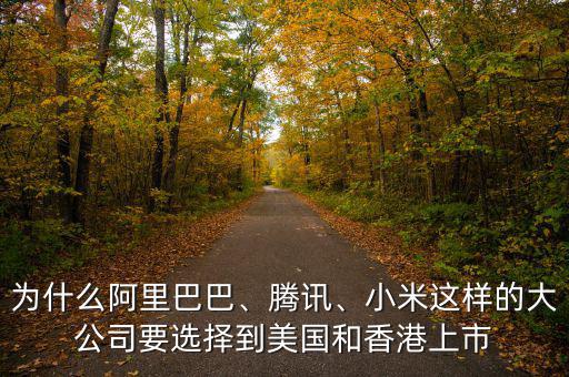 為什么阿里巴巴、騰訊、小米這樣的大公司要選擇到美國(guó)和香港上市