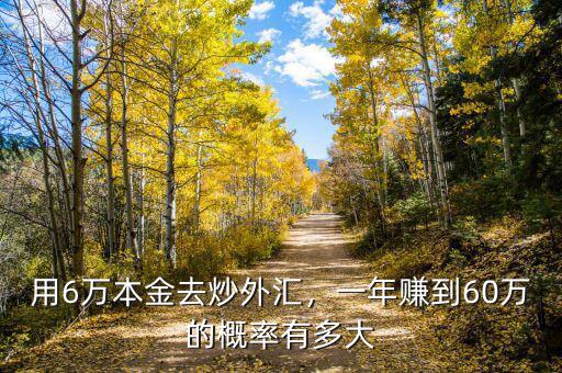 用6萬本金去炒外匯，一年賺到60萬的概率有多大