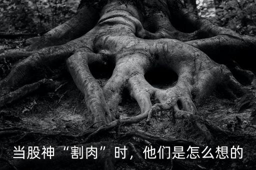 當股神“割肉”時，他們是怎么想的