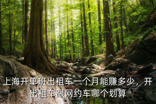 上海開(kāi)單班出租車(chē)一個(gè)月能賺多少，開(kāi)出租車(chē)跟網(wǎng)約車(chē)哪個(gè)劃算