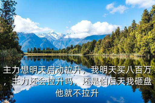 主力想明天啟動拉升，我明天買八百萬，主力還會拉升嗎，還是怕后天我砸盤他就不拉升