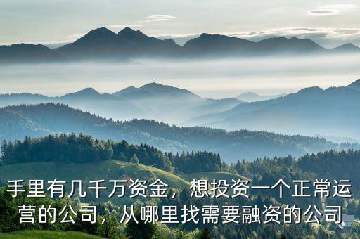 手里有幾千萬(wàn)資金，想投資一個(gè)正常運(yùn)營(yíng)的公司，從哪里找需要融資的公司