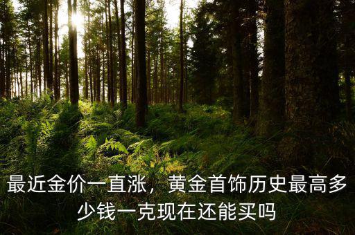 最近金價一直漲，黃金首飾歷史最高多少錢一克現(xiàn)在還能買嗎