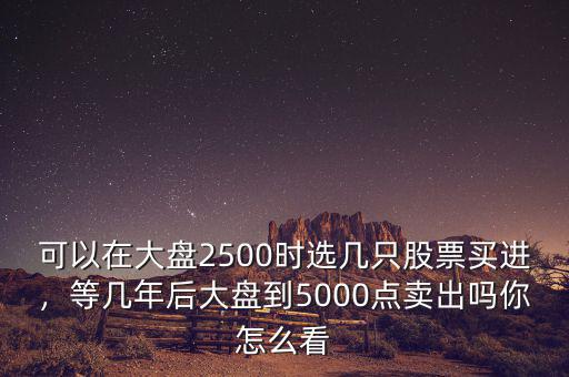 可以在大盤2500時(shí)選幾只股票買進(jìn)，等幾年后大盤到5000點(diǎn)賣出嗎你怎么看