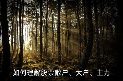機(jī)構(gòu)大戶散戶什么意義,大戶是否一定會比散戶牛逼
