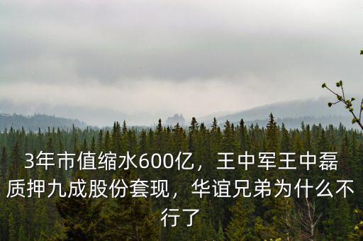 3年市值縮水600億，王中軍王中磊質(zhì)押九成股份套現(xiàn)，華誼兄弟為什么不行了