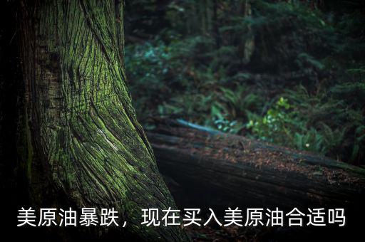 美原油暴跌，現(xiàn)在買入美原油合適嗎