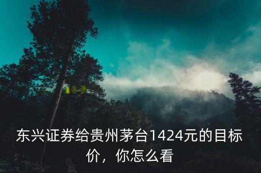 東興證券給貴州茅臺(tái)1424元的目標(biāo)價(jià)，你怎么看