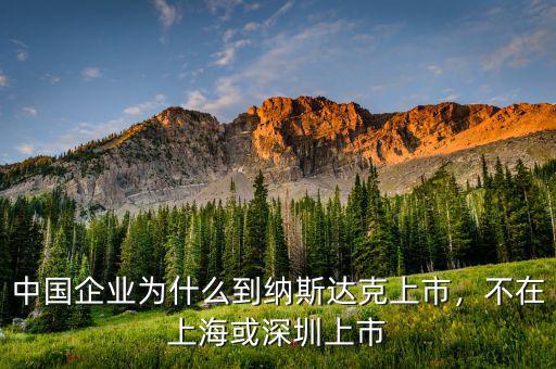 中國(guó)企業(yè)為什么到納斯達(dá)克上市，不在上?；蛏钲谏鲜? class=