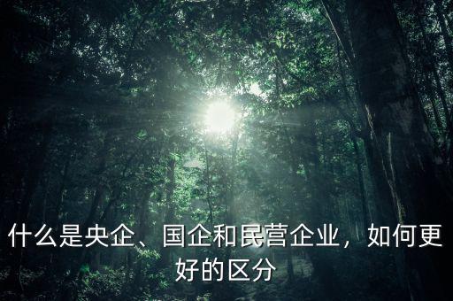 什么是央企、國企和民營企業(yè)，如何更好的區(qū)分