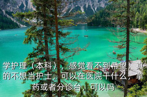 學(xué)護(hù)理（本科），感覺看不到希望，真的不想當(dāng)護(hù)士，可以在醫(yī)院干什么，拿藥或者分診臺，可以嗎