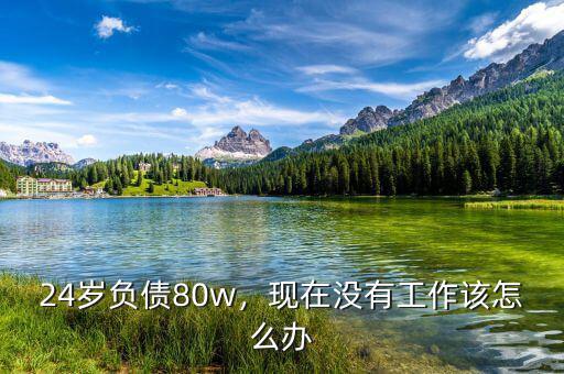 24歲負債80w，現(xiàn)在沒有工作該怎么辦