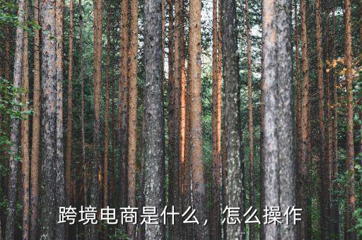 跨境電商是什么，怎么操作