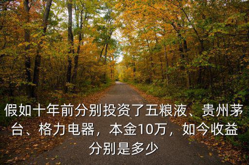 假如十年前分別投資了五糧液、貴州茅臺(tái)、格力電器，本金10萬，如今收益分別是多少