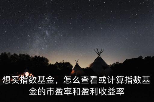 想買(mǎi)指數(shù)基金，怎么查看或計(jì)算指數(shù)基金的市盈率和盈利收益率