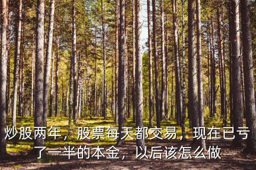 炒股兩年，股票每天都交易，現(xiàn)在已虧了一半的本金，以后該怎么做