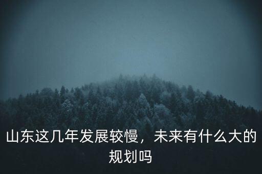 山東這幾年發(fā)展較慢，未來有什么大的規(guī)劃嗎